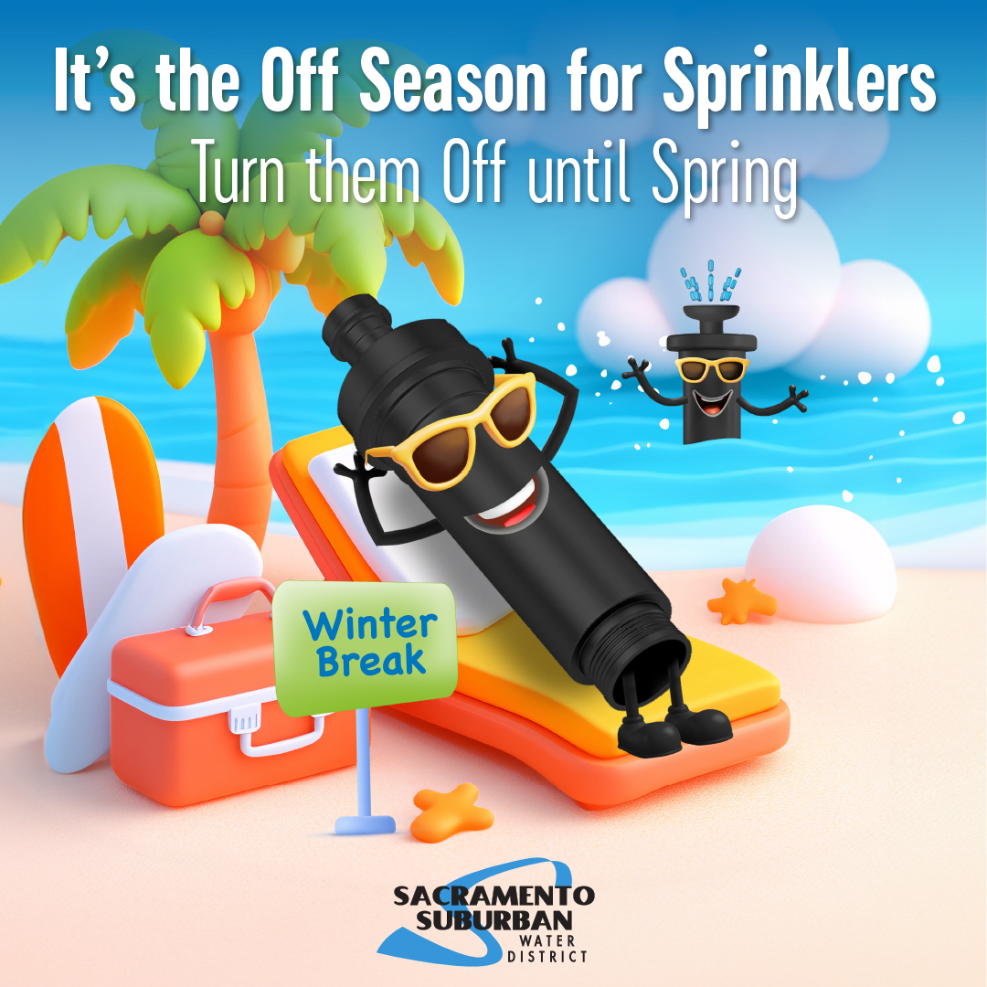 SSWD_WinterBreak_BeachFun_1080x1080